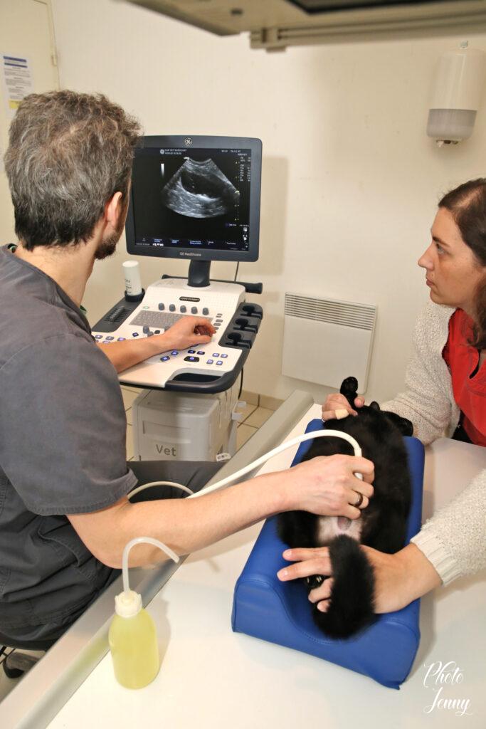 Photo pour Professionnels