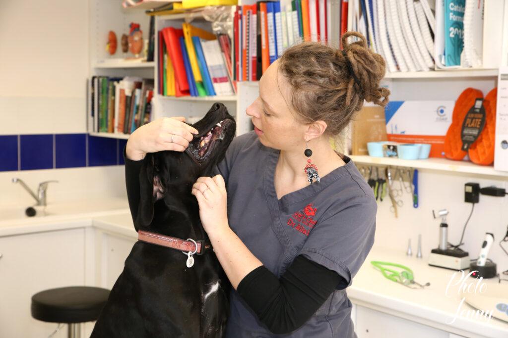 Photo pour Professionnels